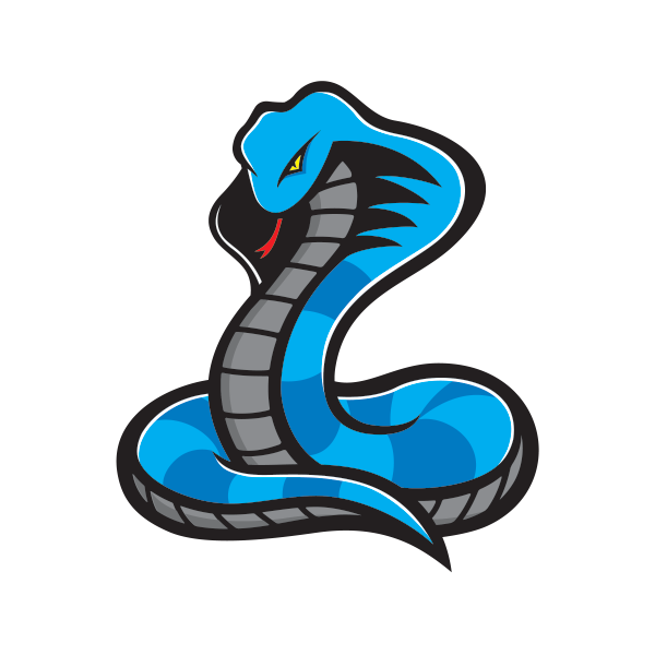 snake-keylogger